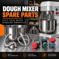 Dough Mixer Spares