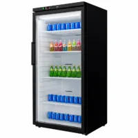 Single Door Display Freezer